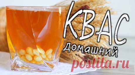 Вкусно до неприличия! 6 рецептов кваса