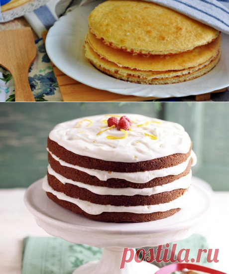 Как приготовить корж для торта :: как приготовить торт из бисквитных коржей :: Кулинарные рецепты :: KakProsto.ru: как просто сделать всё