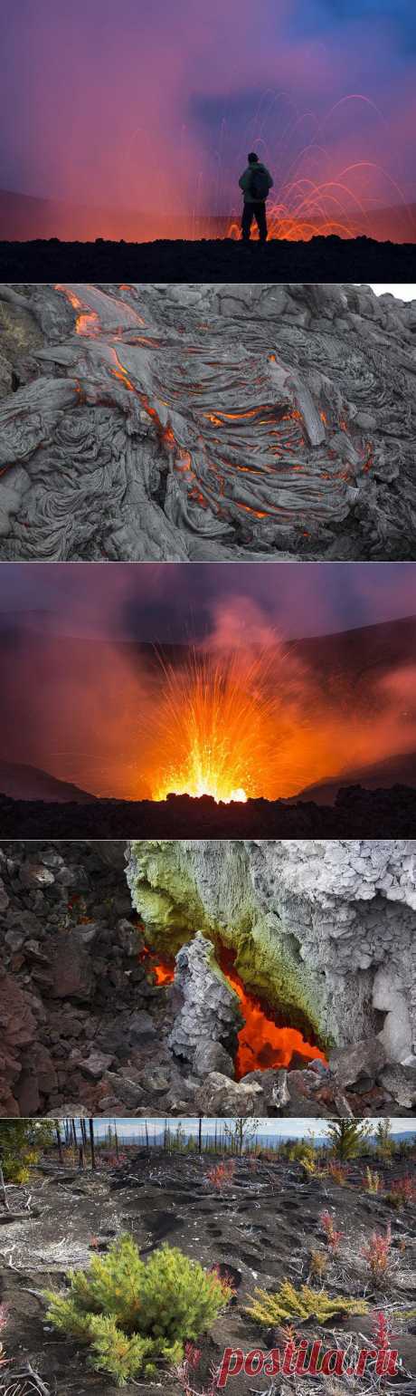 Извержение вулкана Толбачик. Часть 4 - Завершение.