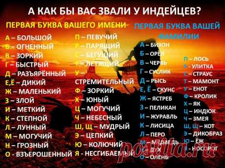 Меня зовут Дикая Рысь. А как бы вас звали у индейцев? | Фейерверк жизни | Яндекс Дзен