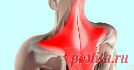 Мышечные зажимы шеи и спины: снятие боли изменением позы Наиболее частой причиной болей в шее и спине являются хронически напряженные мышцы, причем это хроническое напряжение обычно бывает следствием смещенных позвонков, ущемляющих нервы.    Когда мышца остается напряженной, происходит несколько событий, ведущих к хронической боли. Во-первых, мышцы