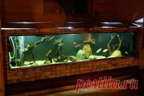 Большущий аквариум для дома