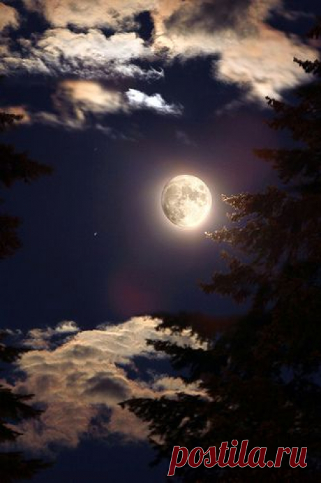 roadhawg1:
“ beautymothernature:
“Moon mother nature moments
”
Love this!
”