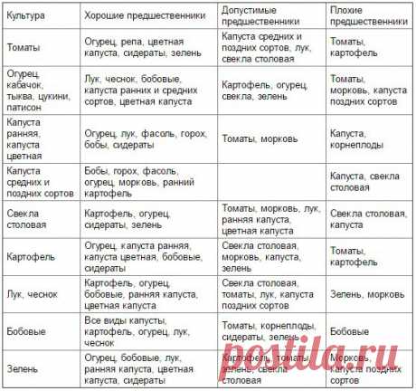 Таблица чередования посевов овощей в огороде

Из севооборота овощей можно извлечь выгоду. Это и защита растений от вредителей и болезней, и сохранение плодородия почвы. Но недостаточно просто менять овощи местами от сезона к сезону, нужно учитывать, какие предшественники наиболее полезны для каждой овощной культуры.

При севообороте соблюдаем правило: не сеять одну и ту же культуру второй год на старое место. Это относится и к представителям одного и того же семейства куль...