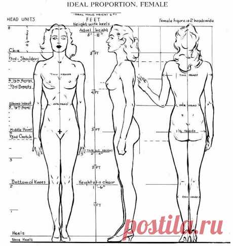 как правильно начать подготовку лепить куклу: 12 тыс изображений найдено в Яндекс.Картинках