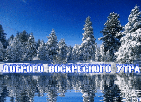 Лучшие открытки в Одноклассники, Вконтакте и Мой Мир отправленные за сутки