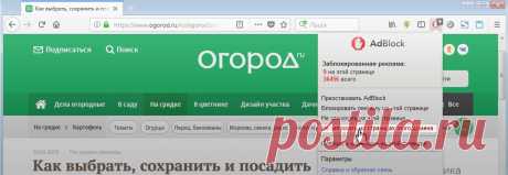 Железный купорос – что это и для чего применяется в саду? | Дела огородные (Огород.ru)