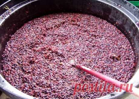 Виноградная чача в домашних условиях: как сделать, приготовление из винограда &quot;Изабелла&quot;, рецепт из мезги (жмыха), как выгнать, как очистить, фото, видео
