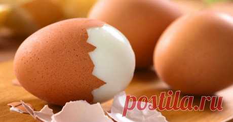Польза и вред яиц для вашего здоровья Существует множество мнений по поводу пользы и вреда от куриных яиц. Говорят, что яйца, а в частности, желтки, приносят вред нашему здоровью. Но мы готовы поспорить! Куриное яйцо — чрезвычайно …