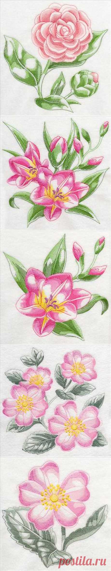 Machine Embroidery Designs at Embroidery Library! - New This Week