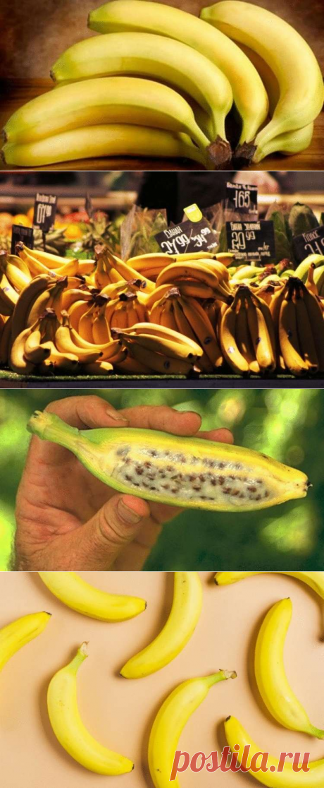 7 проблем, с которыми под силу справиться бананам
Как оказалось, бананы – это плоды, которые, на самом деле, обязаны входить в рацион каждого человека. Помимо того, что они полезны своей насыщенностью витаминами и соединениями калия и железа, эти фрукты богаты клетчаткой и другими углеводами, которые подпитывают человеческий организм энергией. Несмотря на то, что бананы достаточно калорийны, это не влияет на их неоспоримую пользу […]
Читай дальше на сайте. Жми подробнее ➡