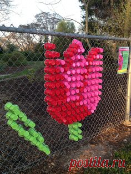 Solo cups in chain link fence at #JCRA