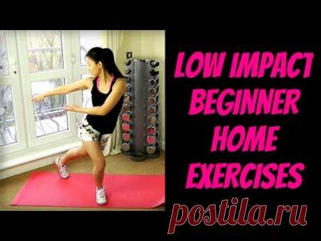 Low Impact Beginner Home Exercises (Burn Calories)