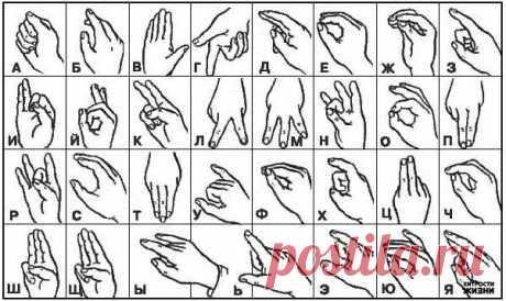 Русский алфавит на языке жестов | Хитрости Жизни