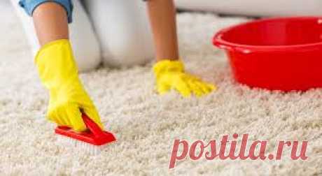 Как создать собственный сервис чистки ковров за несколько дней? — Идеи для бизнеса