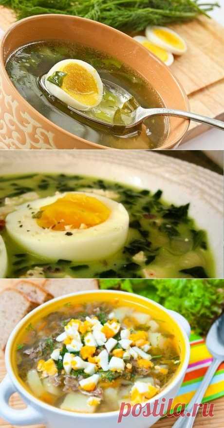 Рецепты супов из щавеля