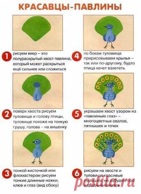 рисуем гуашью. павлин