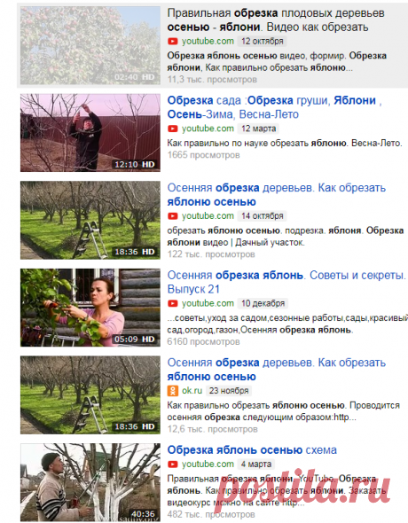 Правильная обрезка плодовых деревьев осенью - яблони. Видео как обрезать яблоню - уход — Яндекс.Видео