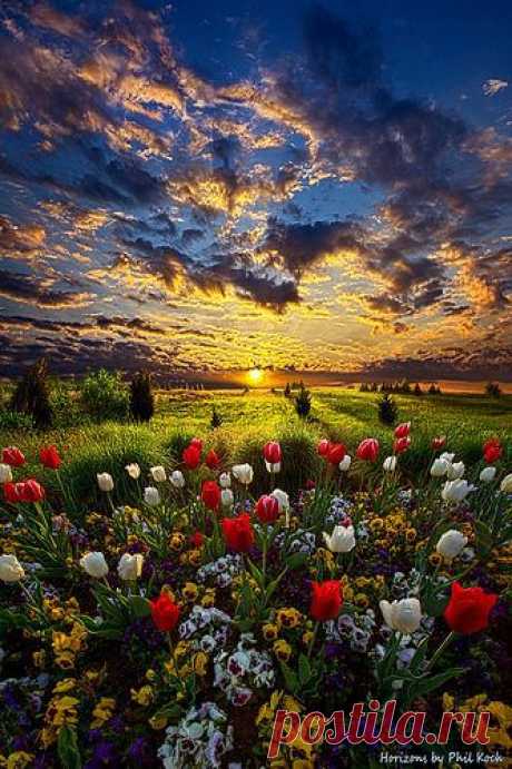 Sunrise on The Meadow #floral #paysage: Discover and save creative ideas