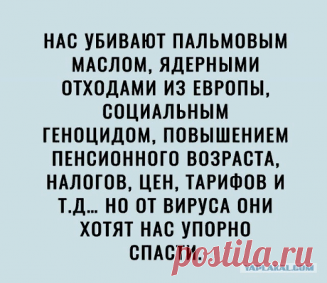 ВАКЦИНАЦИЯ. ПСИХОЗ НАРАСТАЕТ. Часть1. | народный дешифратор | Яндекс Дзен