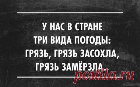 Актуальные цитаты / Писец - приколы интернета