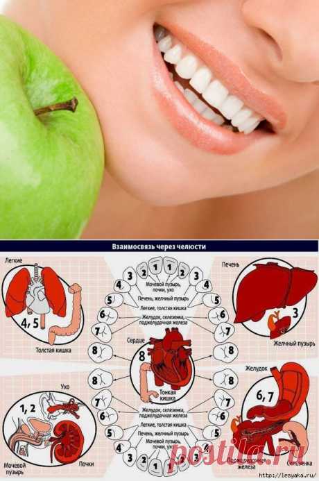 &quot;Слушайте&quot; свои зубы - они все расскажут о вашем здоровье! | ЖЕНСКИЙ МИР