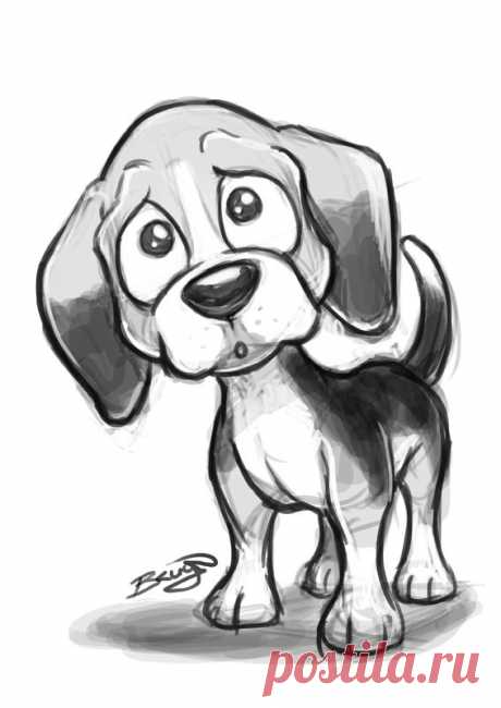 Cute Dog Sketches on Behance