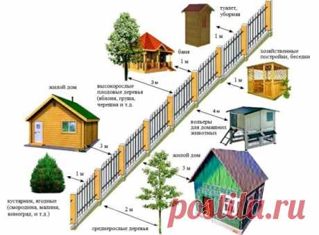 Планировка построек на участке - Участок и сад - Статьи - FORUMHOUSE