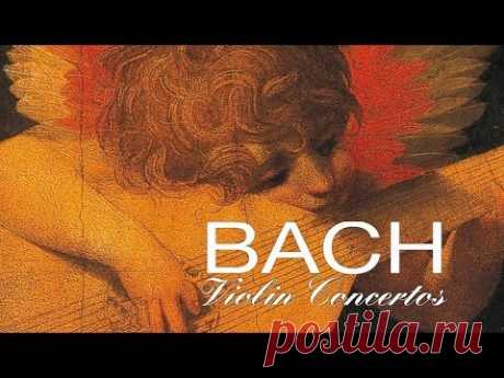 J.S. Bach: The Violin Concertos