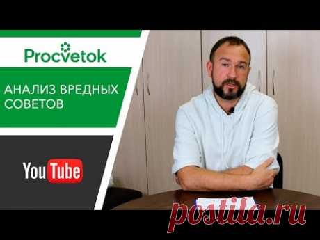 Юлия Миняева Во саду ли в огороде, Урожайный огород - можно ли верить советам популярных блогеров?