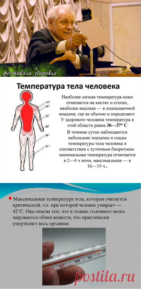 Не традиционный метод лечения высокой температурой. Советы Здоровья доктора Неумывакина | Фитнес - стиль жизни  | Яндекс Дзен