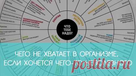 Чего не хватает в организме, если хочется чего-то неполезного Организм человека очень напоминает компьютер. Следите за его показаниями крайне внимательно.