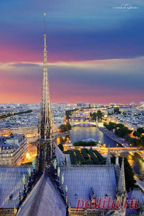 Cathédrale Notre-Dame de Paris