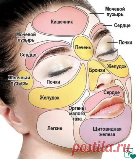 ДИАГНОСТИКА ПО ТОЧКАМ ЛИЦА 
Человек взглянувший в зеркало, может прочитать по своему лицу все то, что произошло с ним и что его ожидает в будущем. Если внимательно посмотреть на состояние очертаний мышц на лице даже можно поставить некоторые легкие диагнозы. Глубокие складки на лбу не связанные с пожилым возрастом, указывают на долговременный стресс и связанные с ним головные боли, не проходящие от анальгетиков. 
Люди привыкли, задумываясь, о чем либо, морщить лобные муску...