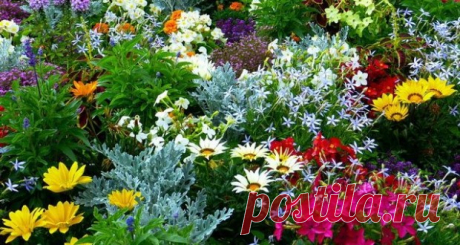 Как из огорода сделать изысканный сад? - Самоцветик - медиаплатформа МирТесен