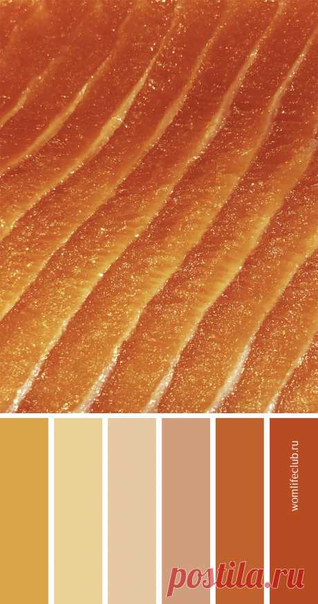 Сочетание оранжевых оттенков

Яркие и согревающие оранжевые оттенки напоминают лето и солнечный свет. Для создания эффекта свечения или ярких акцентов в интерьере и гардеробе, ландшафтного дизайна. Больше природных палитр на womlifeclub.ru #цветоваяпалитра #colorinspiration #сочетаниецветов #палитрасфото #womlifeclub