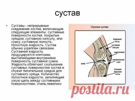 7 мифов о боли в суставах.

Вас беспокоят боли в суставах в конце рабочего дня?
Вы заметили, что суставы начали хрустеть и поскрипывать?
А бывало такое: встали после того, как долго сидели - и чувствуете непонятную скованность, нужно «расходиться», чтобы опять легко двигаться?

Все это - первые сигналы болезней суставов. По данным ВОЗ, ими страдают около 50% населения, каждый десятый случай инвалидности - на их счету.

Почему так много людей болеет, доводят ситуацию до деф...