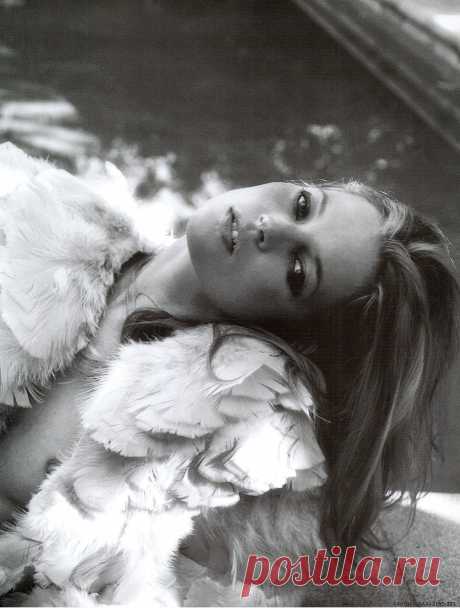 Кейт Мосс (Kate Moss) в фотосессии Крейга МакДина (Craig McDean) (2004)
