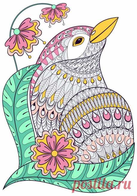 Zentangle Exotic Bird In Colorful Flowers. Stock Vector - Illustration of beautiful, adult: 78983952 Zentangle exotic bird in colorful flowers.. Illustration about beautiful, adult, exotic, graphic, background, branch, doodle, illustration, animal, book, drawing, abstract - 78983952