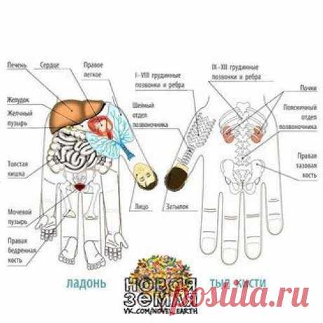 Тайная сила мизинца