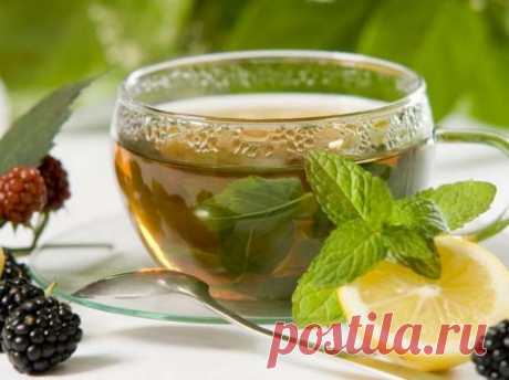 Чай с мелиссой - польза и противопоказания