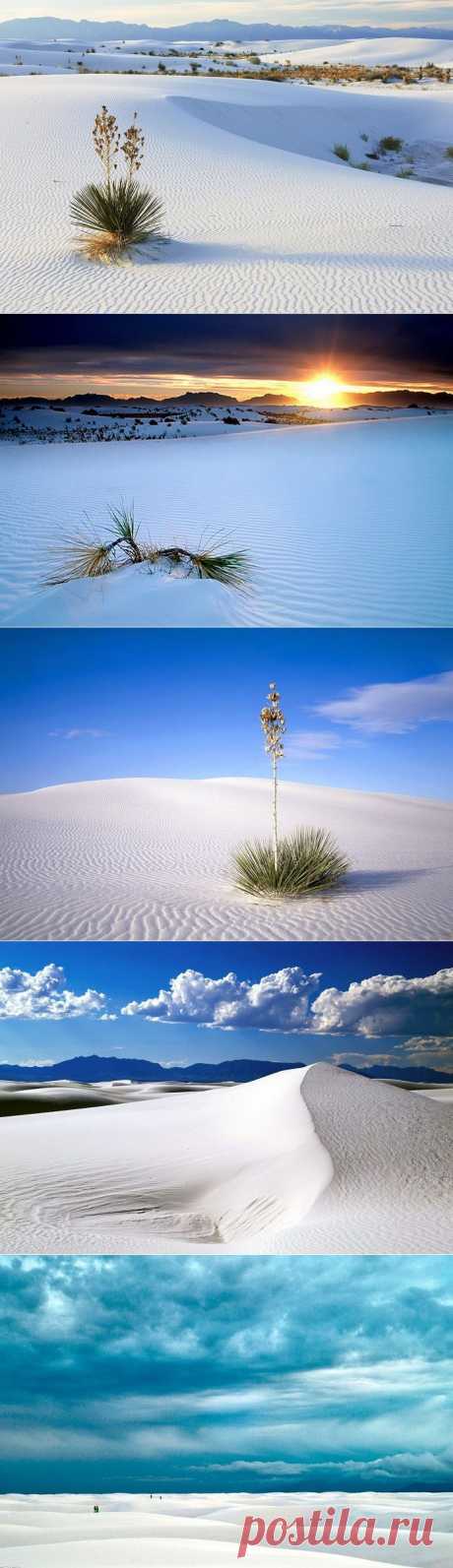 Пустыня Белых Песков – самая красивая природная аномалия.