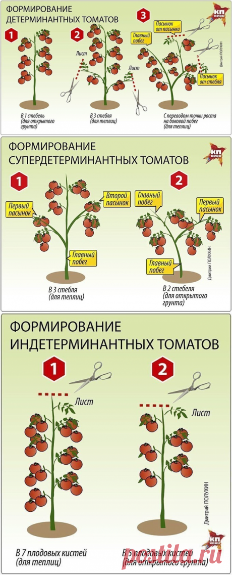 Одноклассники