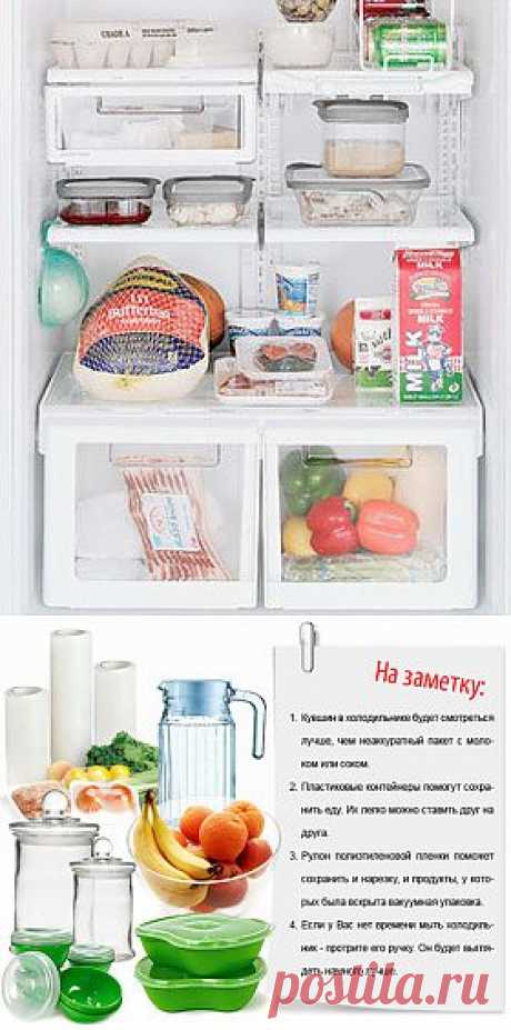 Чистота в Холодильнике :: FRESH - Свежий взгляд на стиль - онлайн журнал