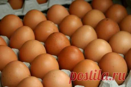 Лучшее средство по борьбе с папилломами — яйцо | Простые советы