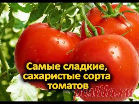 Самые сладкие, сахаристые сорта томатов для теплиц и открытого грунта!