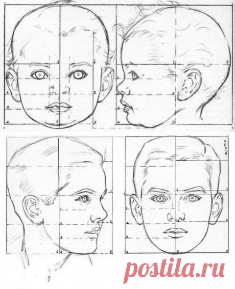 Немного теории о детских и взрослых лицах.