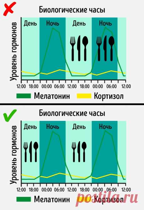 Диета, основанная на открытии, за которое дали Нобелевскую премию. Она поможет не только похудеть, но и замедлить старение