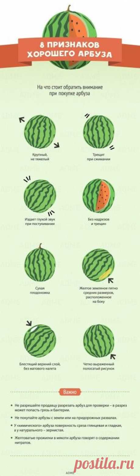 Как выбрать хороший арбуз? Кому противопоказан арбуз? — Всегда в форме!