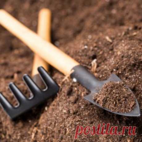 Как правильно ухаживать за почвой в саду? | Садовод (Усадьба)